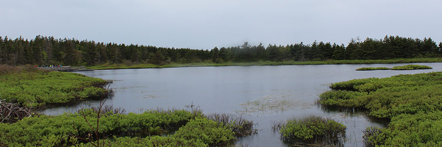 Parc national de l'Île-du-Prince-Édouard