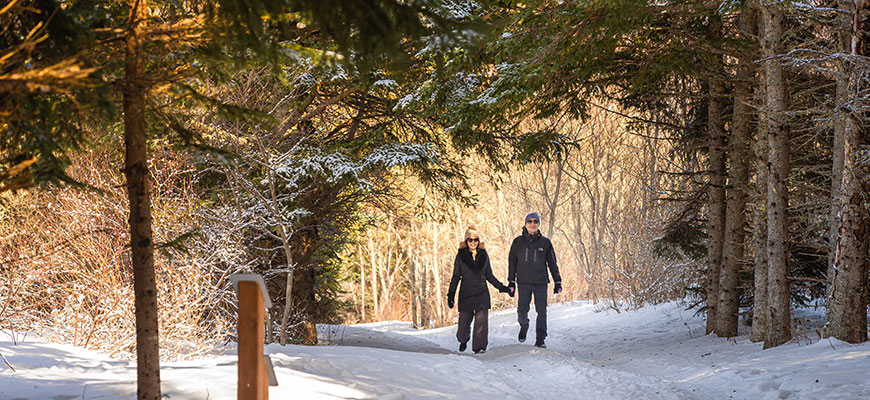 Deux randonneurs marchent main dans la main sur un sentier enneigé dans le parc national de l'Île-du-Prince-Édouard.  