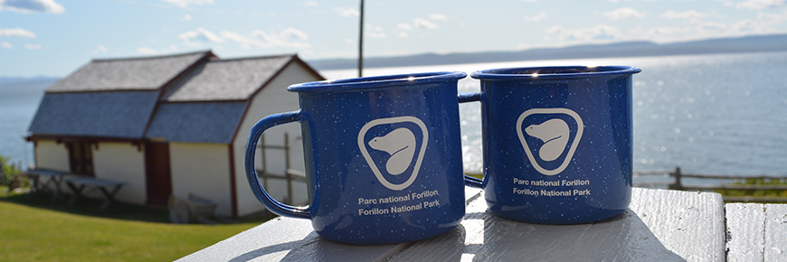 Two blue Parks Canada mugs on a veranda