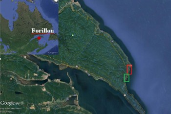 Image google earth de la pointe de Forillon