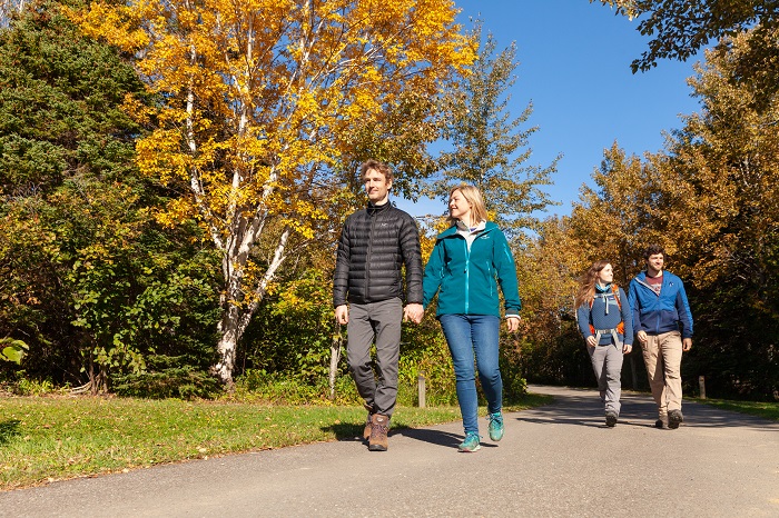 Quatre visiteurs se baladent à pied sur une route asphaltée du camping Des-Rosiers.