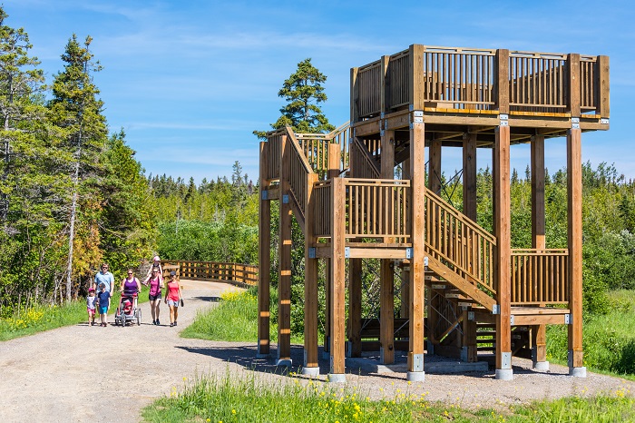 A family heads up to the observation tower on the Du Banc trail.