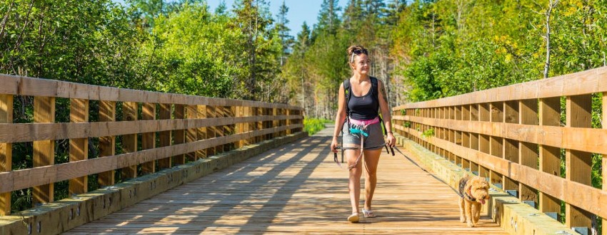 A hiker and her dog on a leash cross a wooden bridge. 