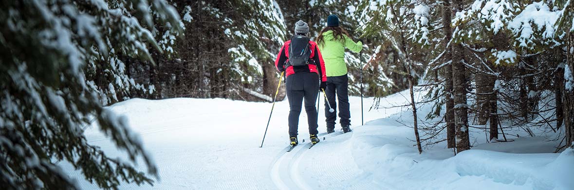 Crosscountry skiiers in a snowy trail