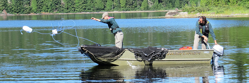 Two men are standing in a motorboat. One of the men throws a fishing net into the water. The other one drives the boat.