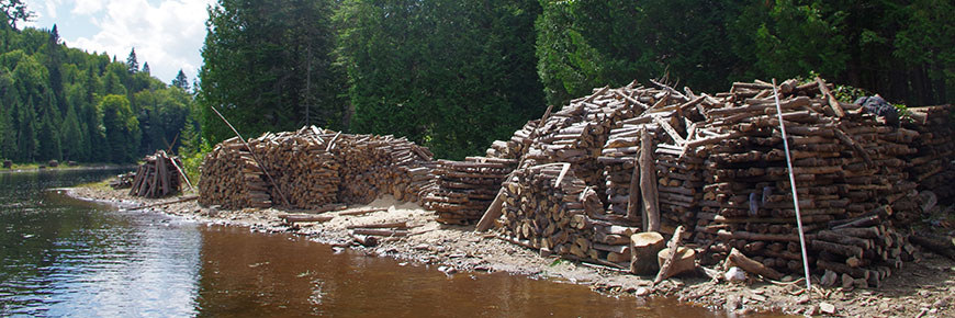Log accumulation on the shores of Houle Lake