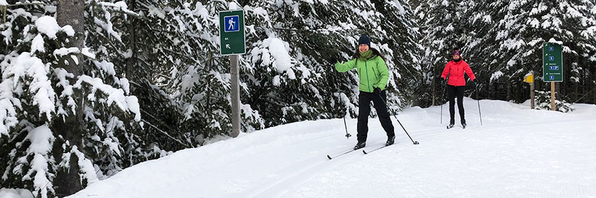 Crosscountry skiiers in a snowy trail