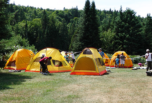 Yellow tents are set up in a clearing
