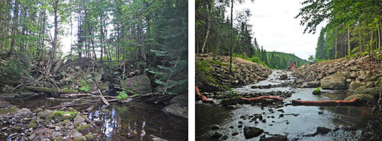 View of the Dauphinais Lake outlet before and after the dam was dismantled