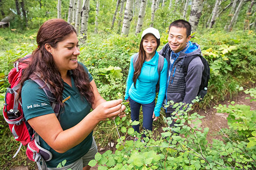 A naturalist from Parks Canada shows a flower to a young couple in a trail