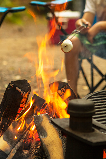 Une guimauve en train de rôtir sur un feu de camp