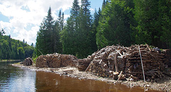 Log accumulation on the shores of Houle Lake