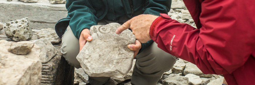 A heritage presenter showing fossils in the sedimentary rock to a visitor on the coastline of Île Niapiskau.