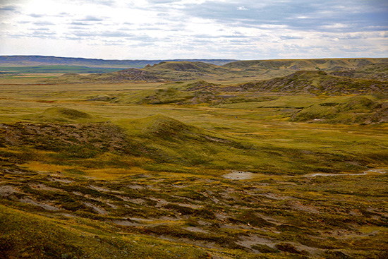 Vue ondulante du paysage avec ses collines et zones de la formation de schistes de Bear Paw. Les contours du gîte d’hibernation des serpents se dessinent au loin.