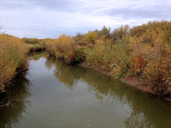 Leaves changing colors in the fall along the Frenchman River.