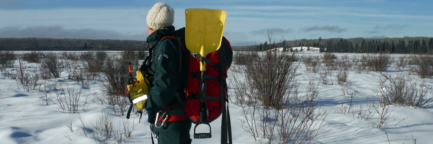 Parks Canada employee conducting field work