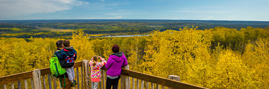 Une famille de quatre personnes, debout au sommet d’une haute tour, admire les couleurs de l’automne dans une forêt mixte.