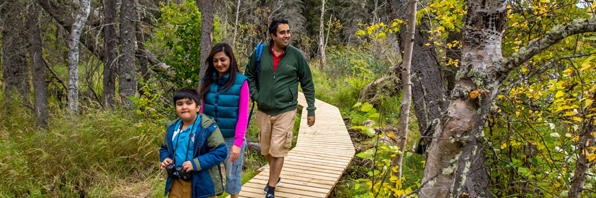 A family of three walk on a boardwalk trail through a forest.