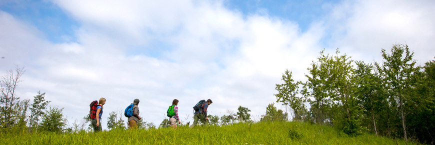 Four young adults walk through the grass along the crest of a hill. 
