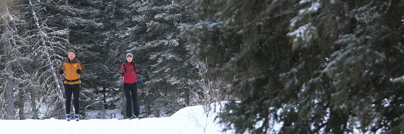Un couple d’âge mûr skie sur une piste damée dans une forêt d’épinettes.