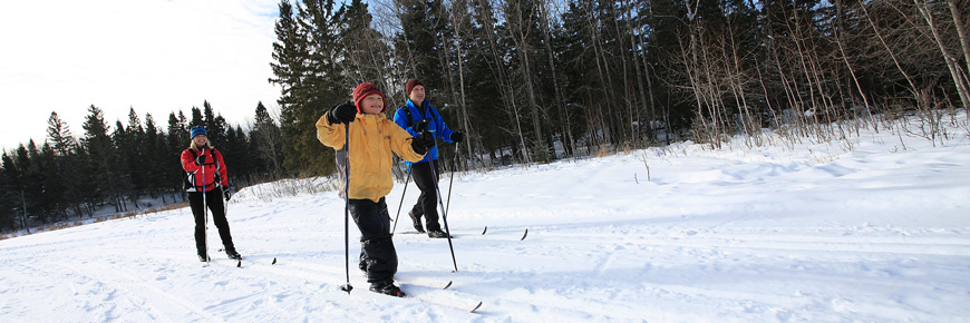A family of three skis on a groomed trail through the forest.