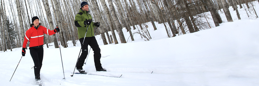 A young couple skis on a groomed trail through a forest of aspen trees.