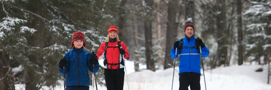 A family of three ski through a spruce forest.