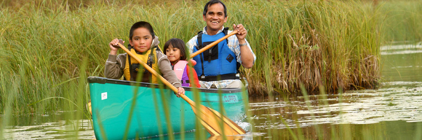 A man and two children paddle a canoe through the cattails close to shore. 