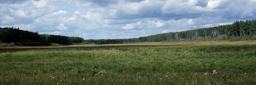A scenic view of Stoney Plane Meadow on the Southwest side of Prince Albert National Park. 