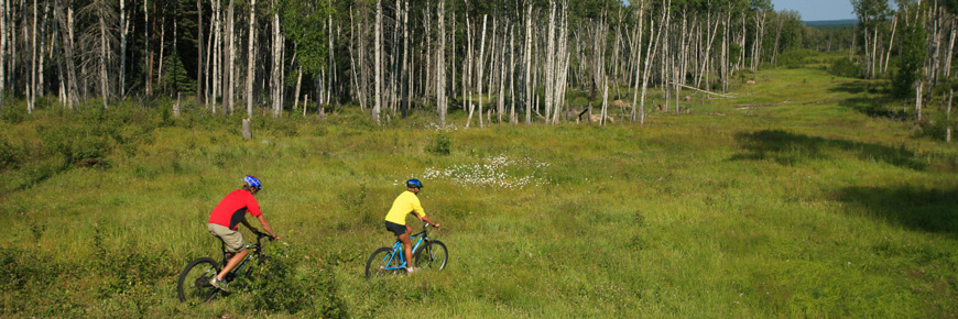 Two people mountain bike on a trail through a grassy meadow surrounded by forest. 