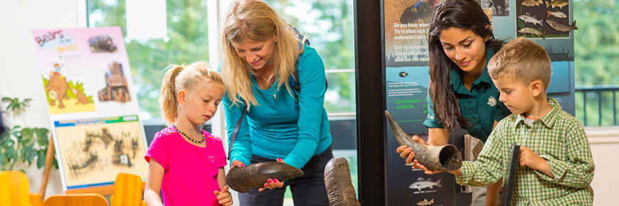 Une employée de Parcs Canada montre une corne de bison à une femme et à ses deux enfants.
