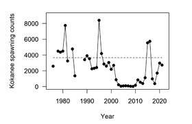Graph showing numbers of spawning Kokanee 1970's to 2021