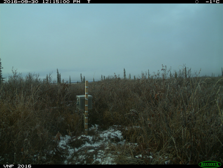image of monitoring site on September 30: 2016, first snowfall