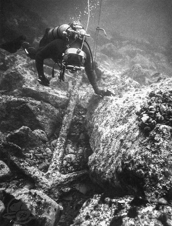 Diver inspecting the Tribune anchor
