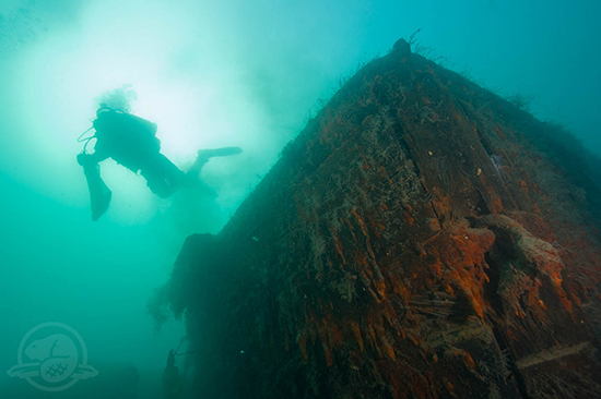 Plongeur sur proue du HMS Investigator