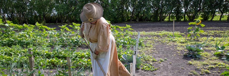 A guide in a historic costume working in the garden at Motherwell Homestead National Historic Site.