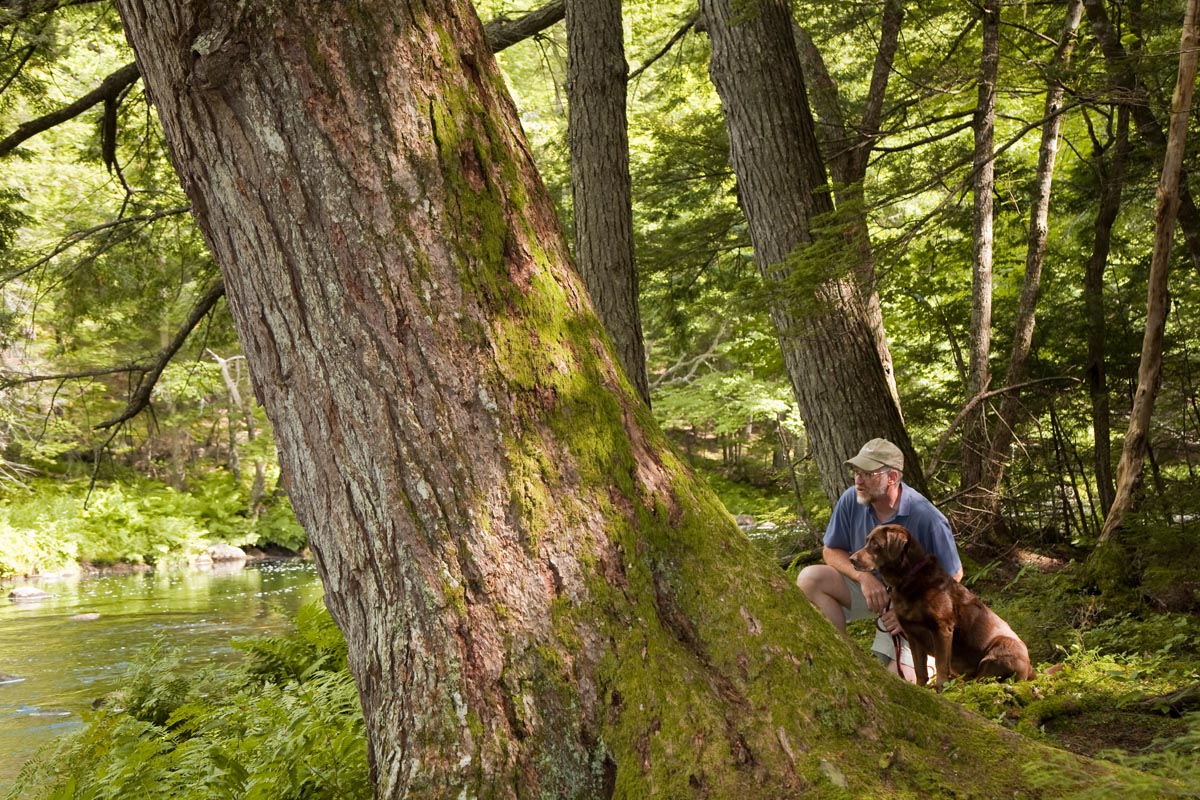 Un homme et son chien sur un sentier dans la forêt.