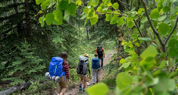Hikers walking on a trail