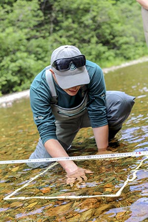 Water quality monitoring