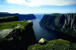 aerial view of a fjord