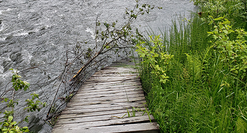 Flooded boardwalk