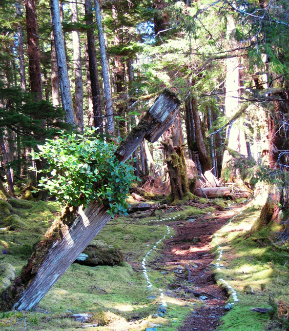 Trails and house post at T'aanuu Llnagaay