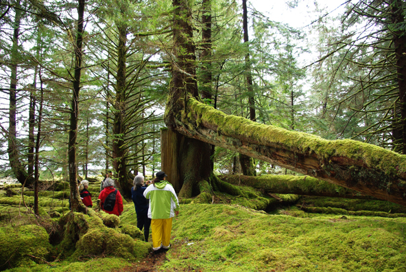 Watchmen guides visitors in the wood