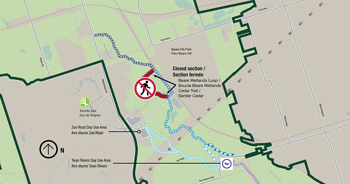 Map of Beare Wetlands Loop and Cedar Trail showing temporary closure